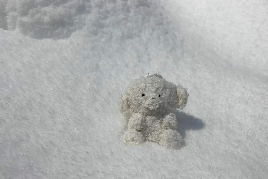 2月カメラマンスケジュール🍫